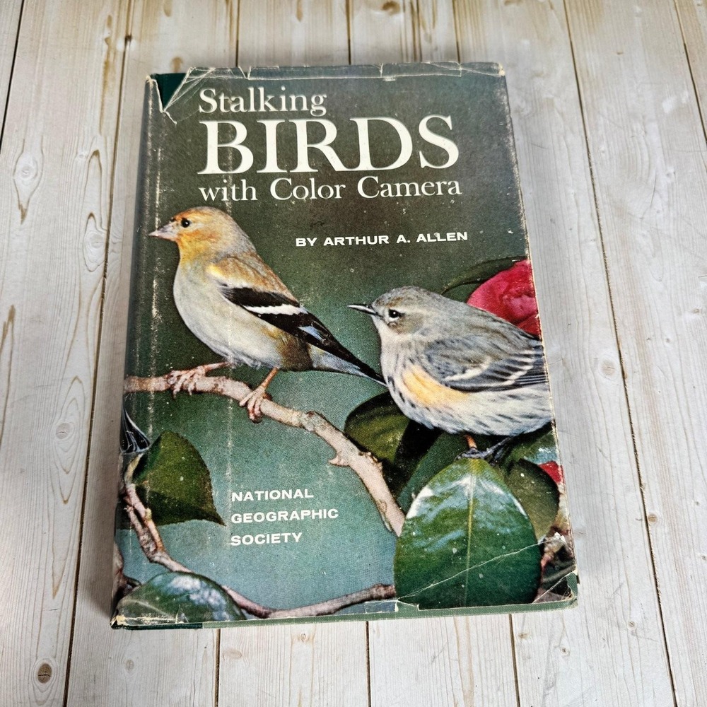 Stalking Birds with Color Camera Arthur A. Allen‎ 1961 Second Printing Natl Geo